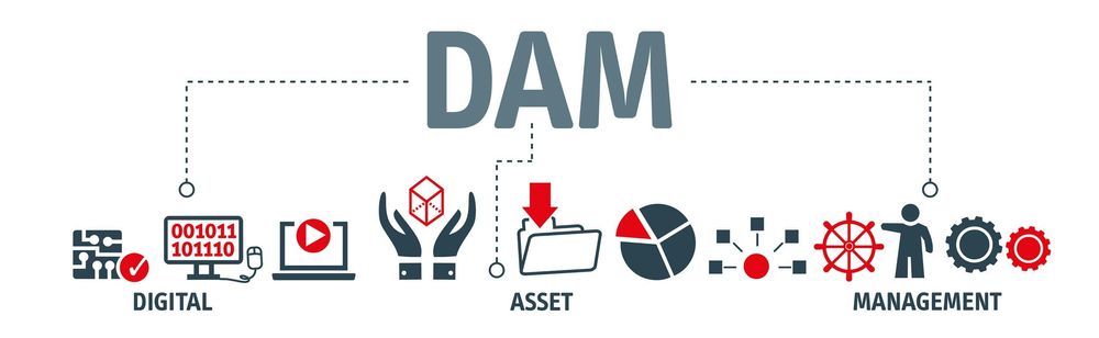 Digital Asset Management Software Dam 2021 Ultimate Guide